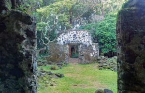 A stone building is surrounded by trees and grass in the middle of a forest.