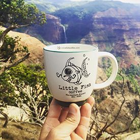 A person is holding a coffee mug in front of a waterfall.