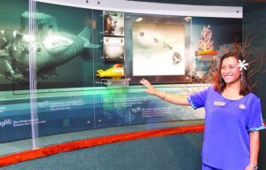 A woman in a blue shirt is standing in front of a glass wall.