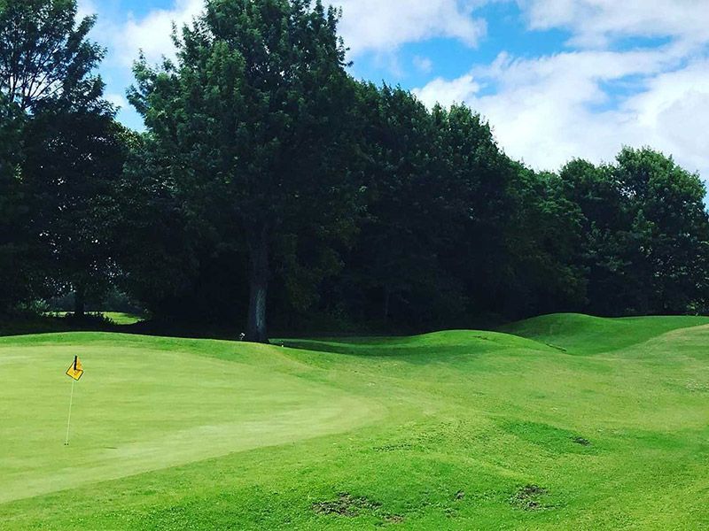 A golf course with a green and trees in the background