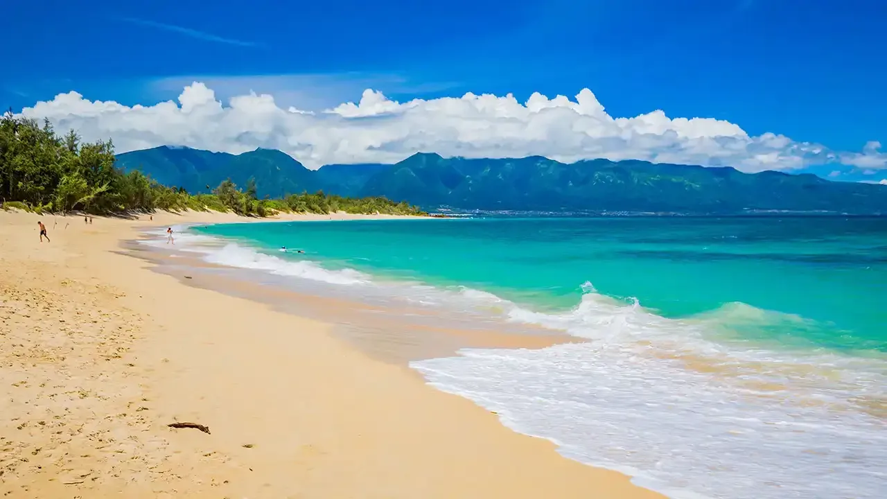 Make the most out of your visit to Paia, Maui with This Week Hawaii.
