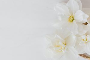 understanding hawaiian lei flowers