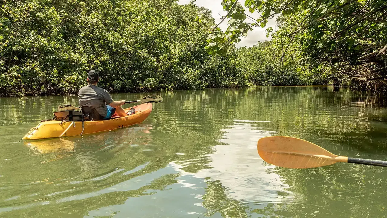 Should you go on a guided Kayak tour? Let This Week Hawaii help you decide.