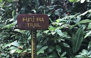 A sign that says pu 'u pia trail is in the middle of a forest.