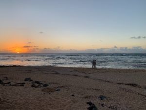 A person is standing on a beach at sunset.