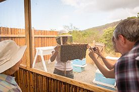 A man is taking a picture of a woman holding a beehive.