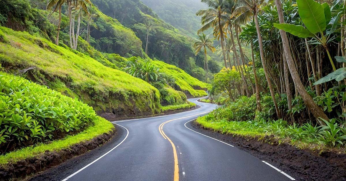 Road to Hana Guide: where to stop and what tosee