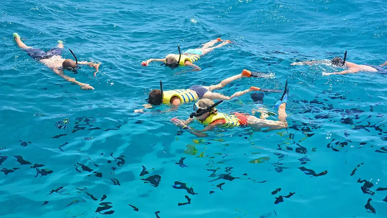 This Week Hawaii's list of safety tips for snorkeling in Hawaii.