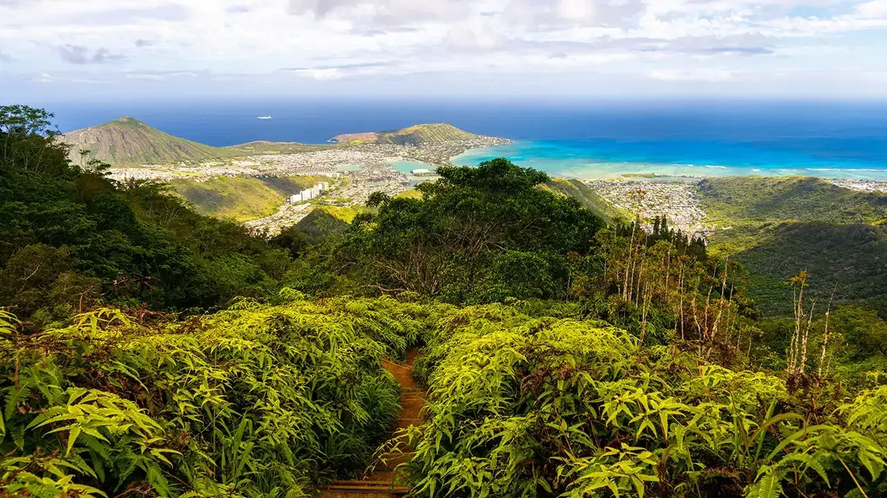 Hiking trails in Hawaii with scenic views.