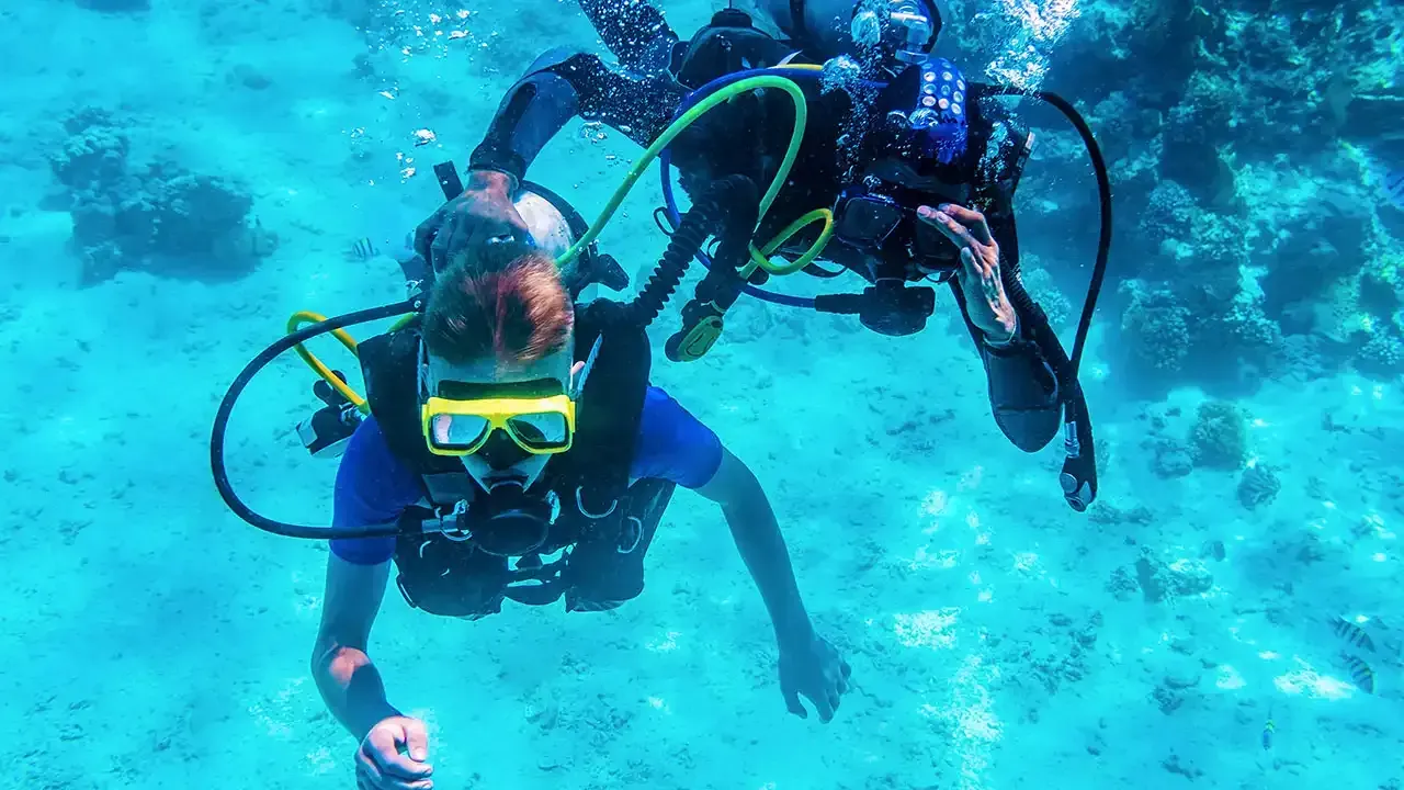 This Week Hawaii's guide to scuba diving when visiting Hawaii.