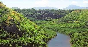 A river flowing through a lush green valley surrounded by mountains.