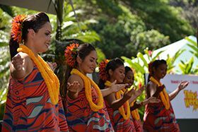 A group of women are dancing hula in a line.