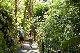 A man and a woman are walking down a path in the woods.