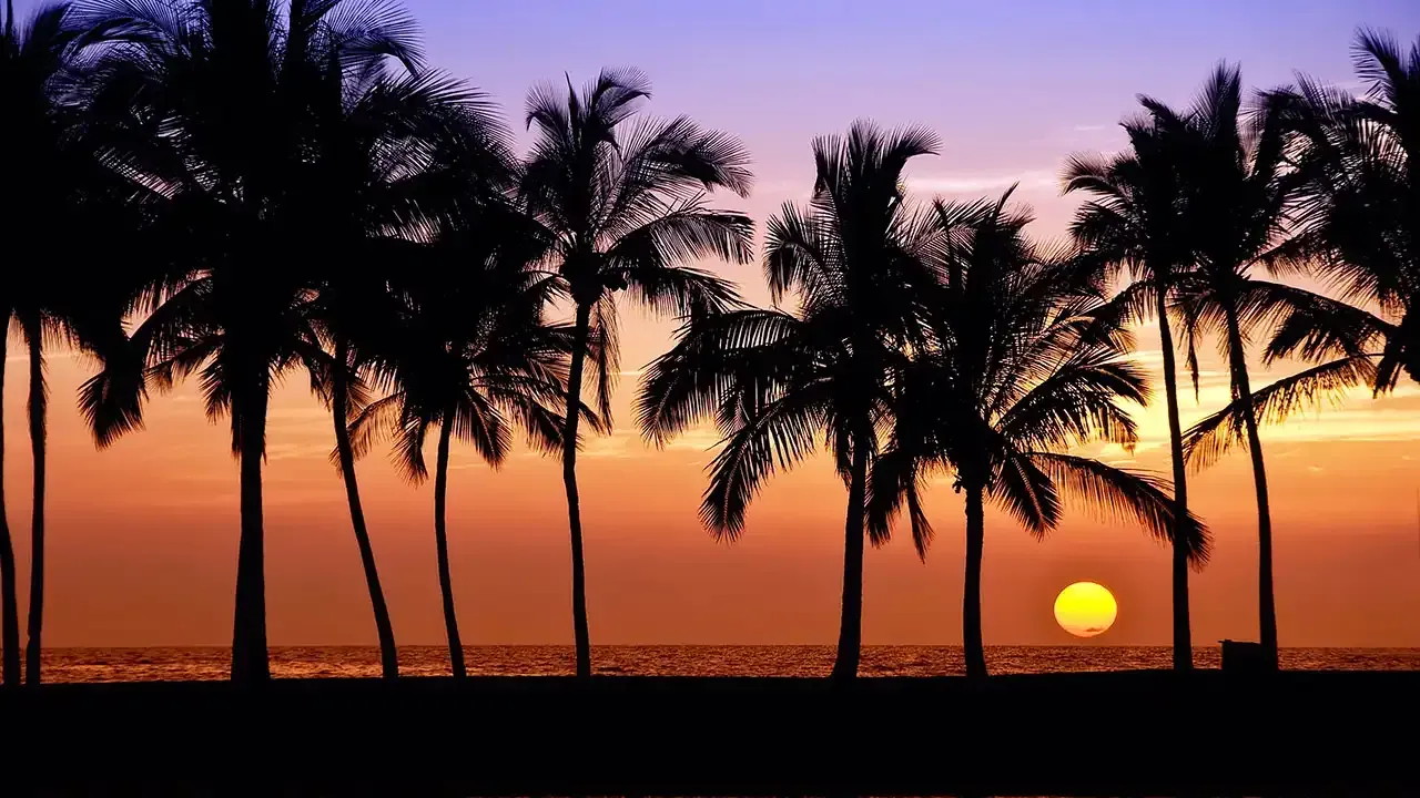 This Week Hawaii's tips for Hawaii Time Zone differences.