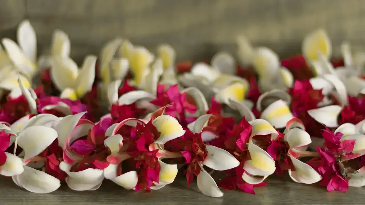 Learn which flowers are used in making Hawaiian Leis with This Week Hawaii.