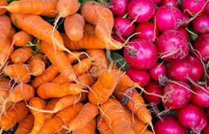 A bunch of carrots and radishes are sitting next to each other.