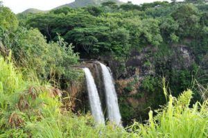 A waterfall in the middle of a lush green forest.