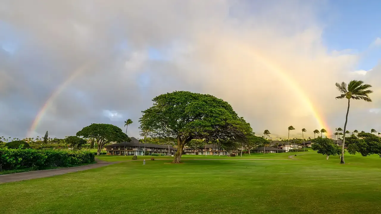 This Week Hawaii will help you discover the weather difference between each of the Hawaiian Islands.