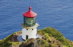 A lighthouse is sitting on top of a small hill next to the ocean.