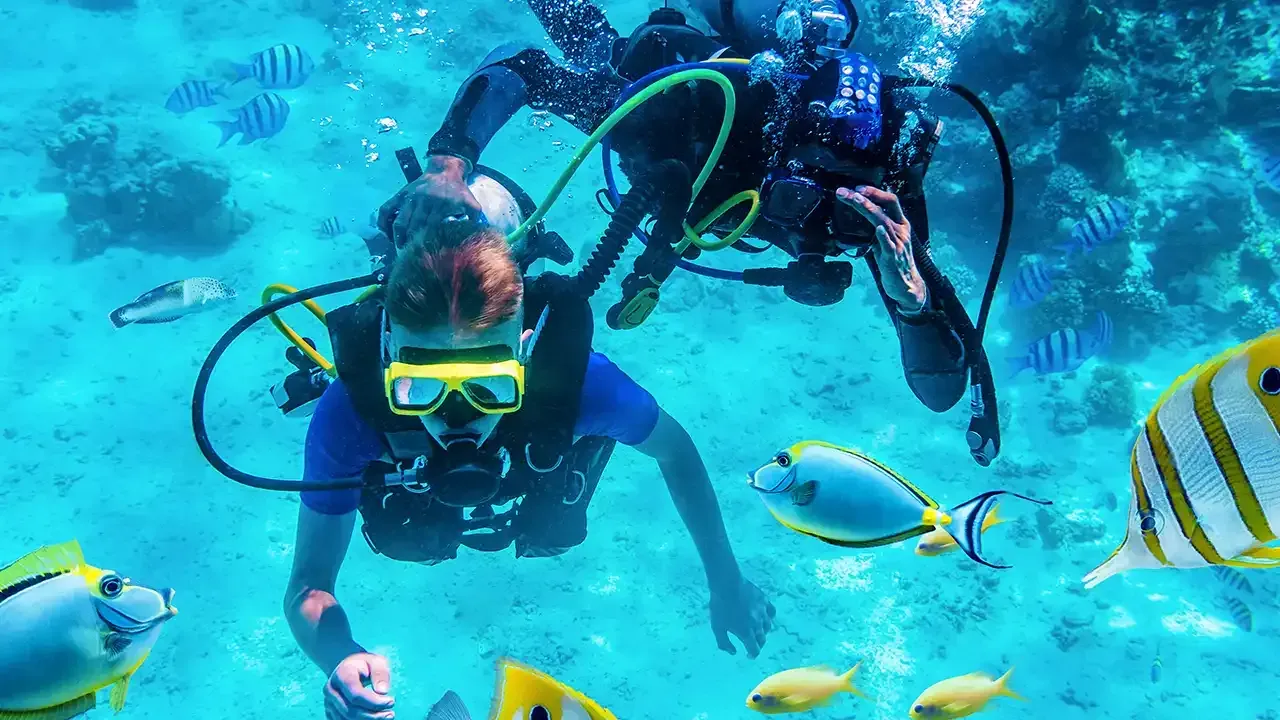 This Week Hawaii's list of equipment for a beginner scuba diver.