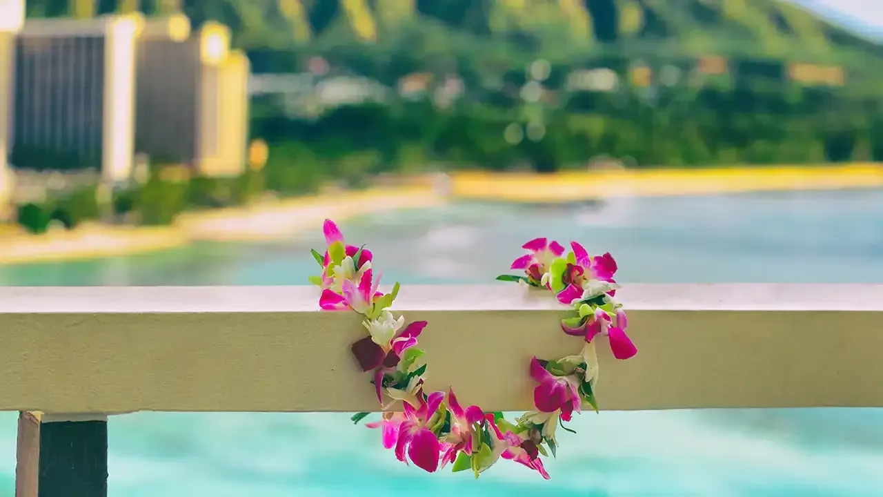 Discover the history and cultural meaning of Hawaiian Leis with This Week Hawaii.