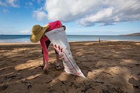 A woman is picking up trash on the beach.