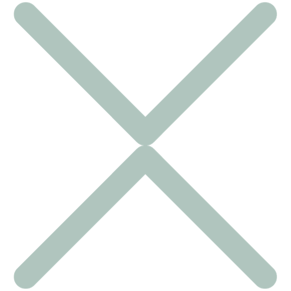 Strength icon