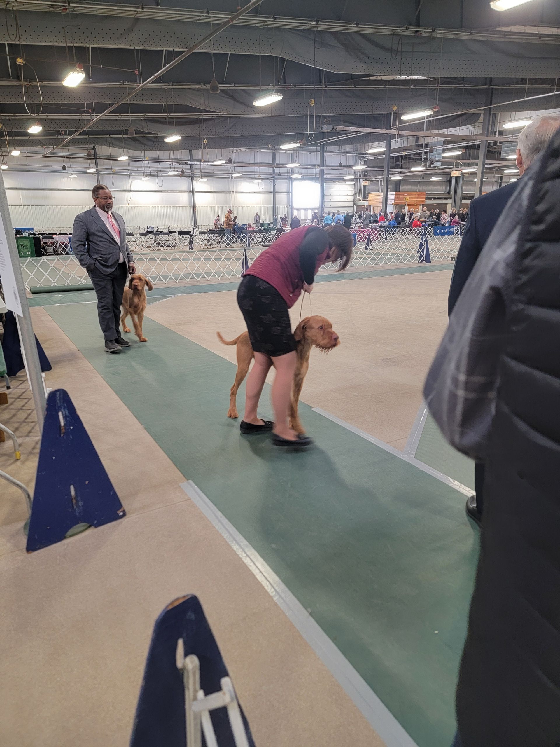 2025 News | Pivot Kennels Updates