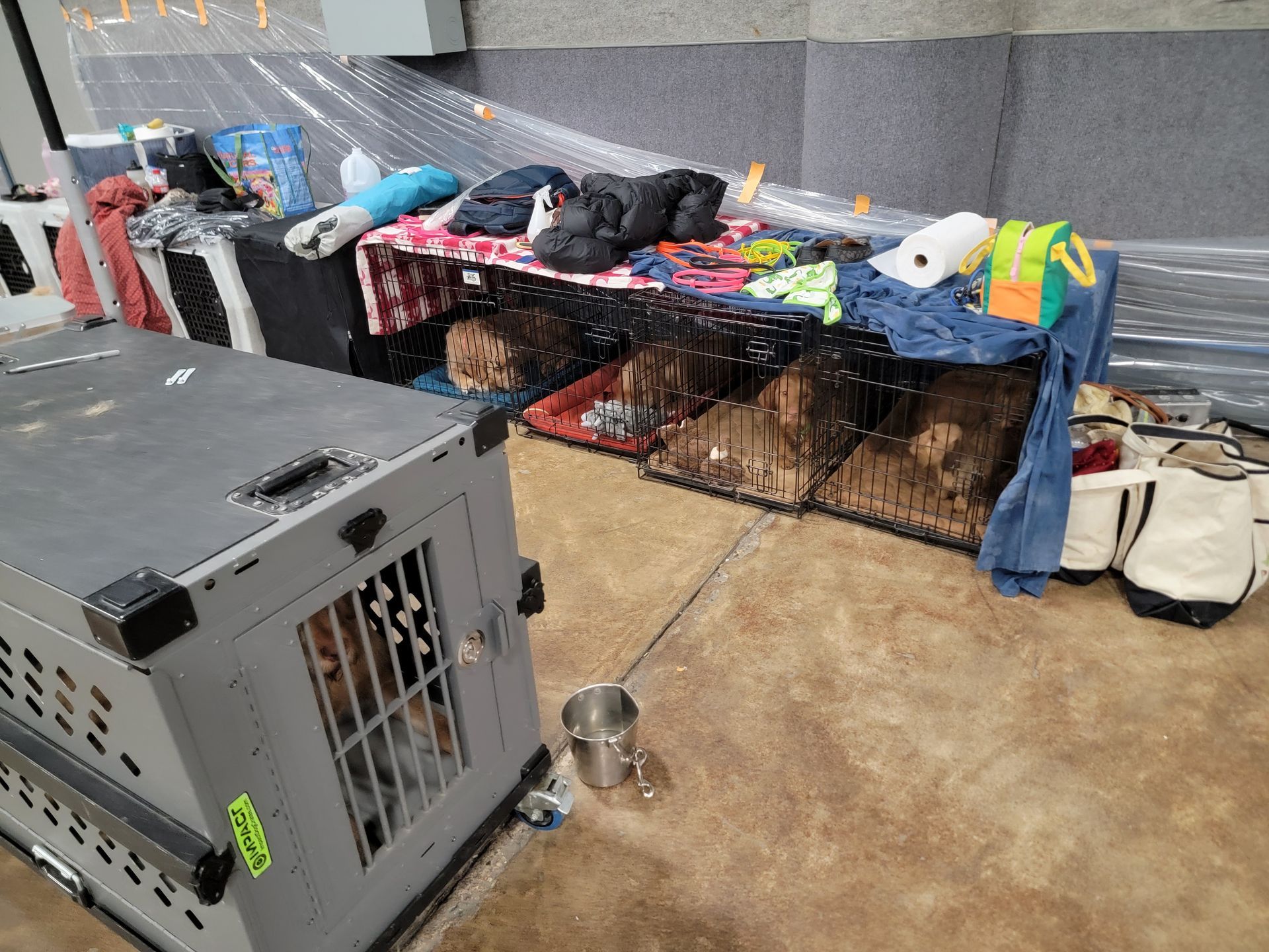 Pivot Kennels