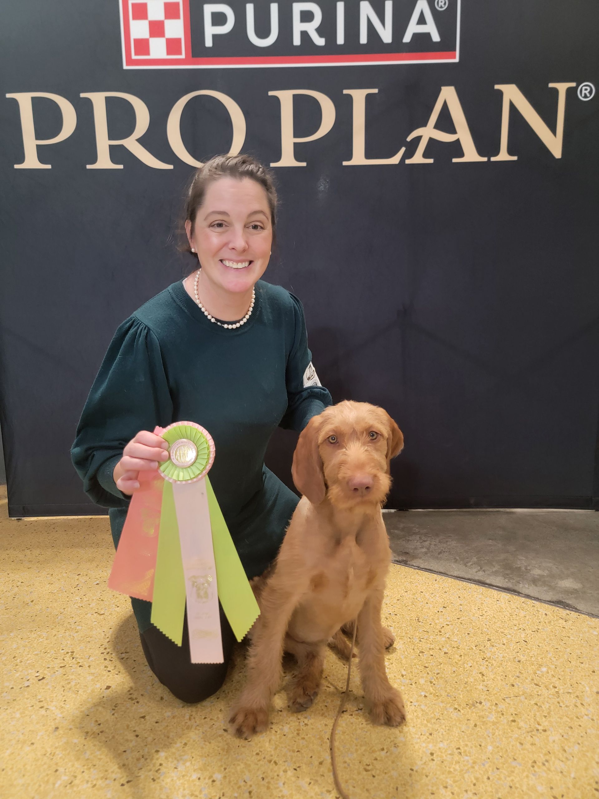 Pivot Kennels