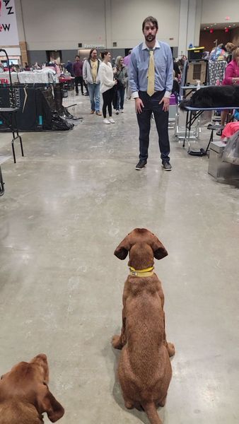 Pivot Kennels