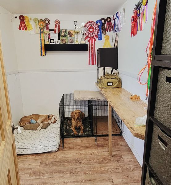 Pivot Kennels