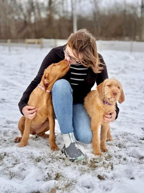 Pivot Kennels