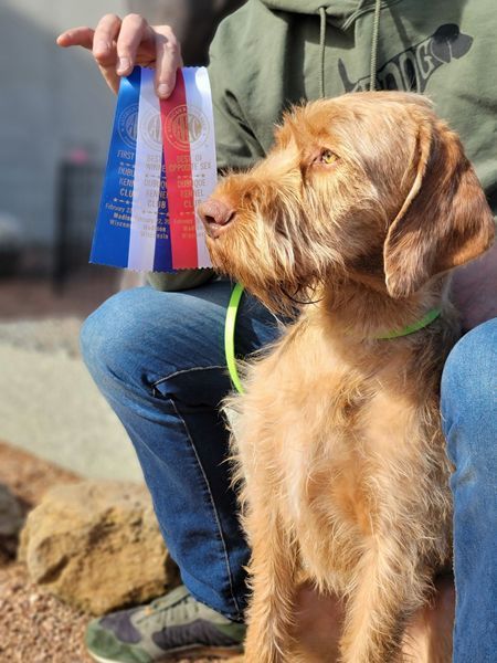 Pivot Kennels