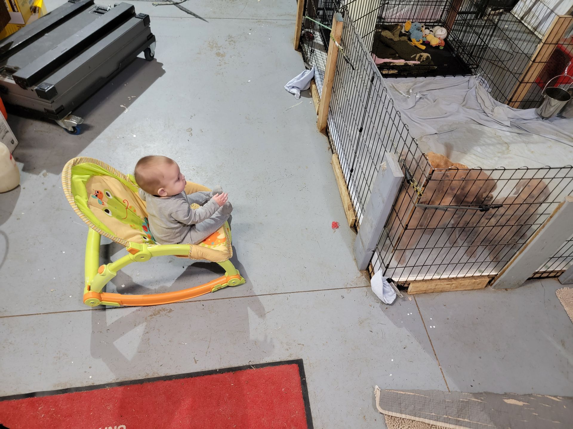Pivot Kennels
