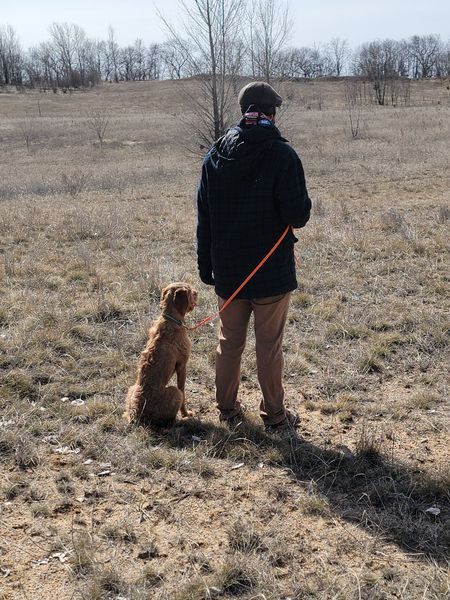 Pivot Kennels