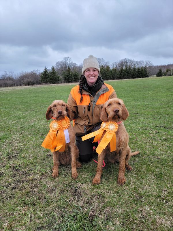 Pivot Kennels