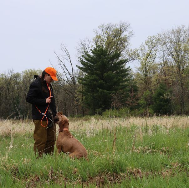 Pivot Kennels
