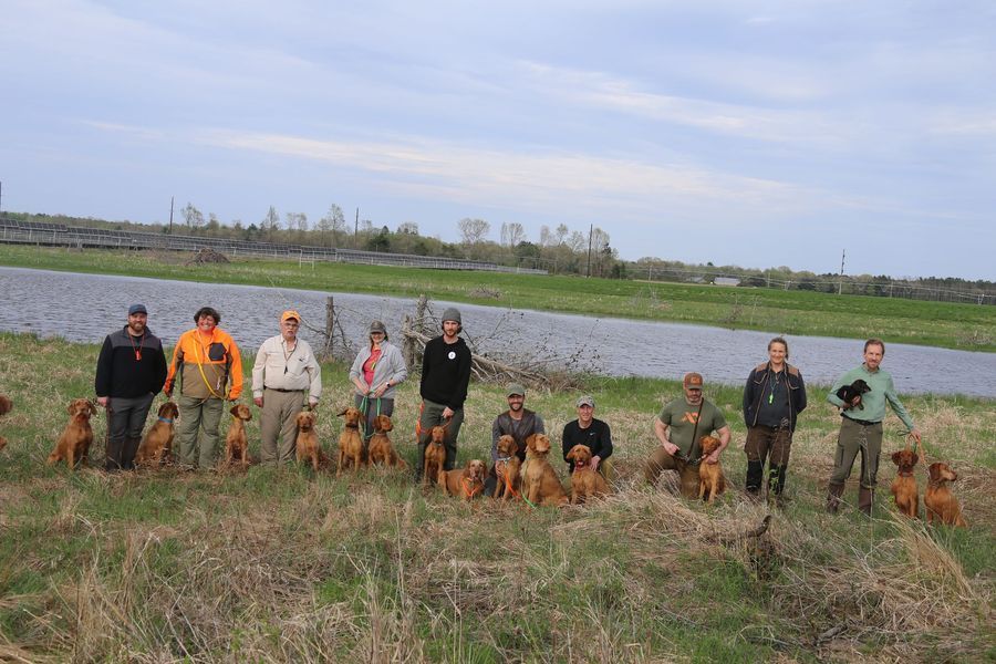 Pivot Kennels