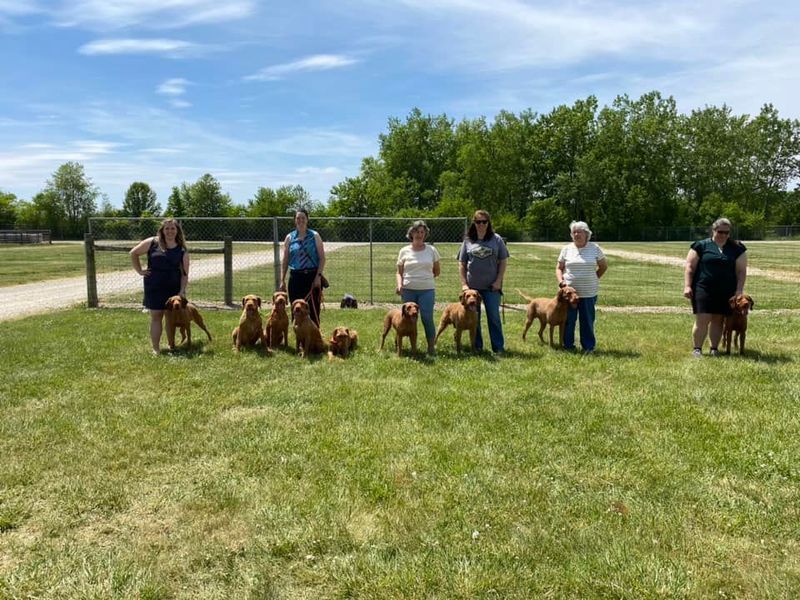 Pivot Kennels