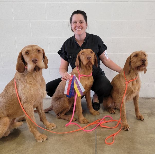 Pivot Kennels