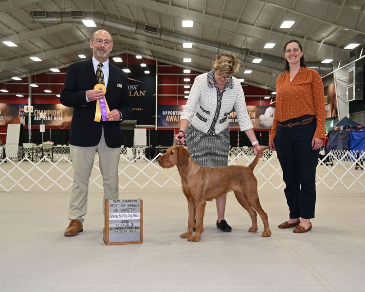 Pivot Kennels