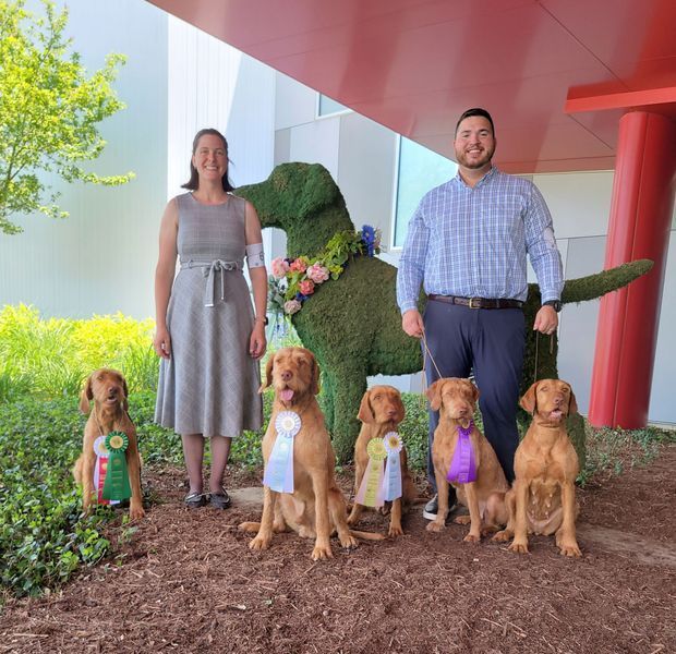 Pivot Kennels