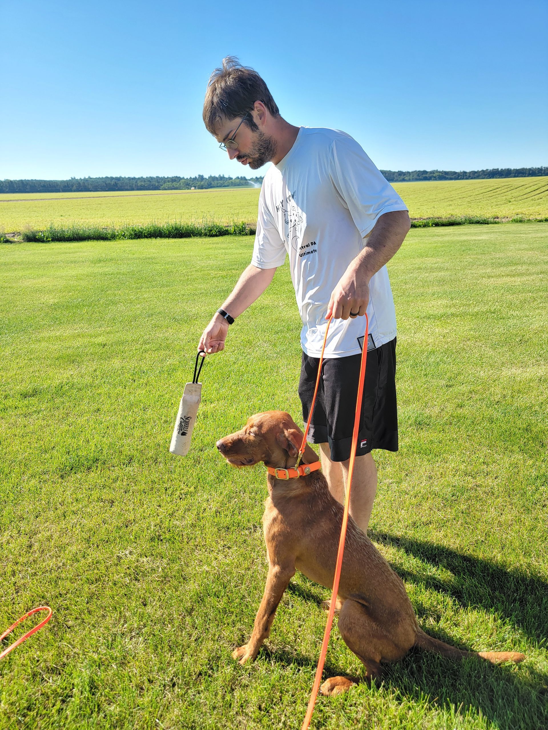 Pivot Kennels