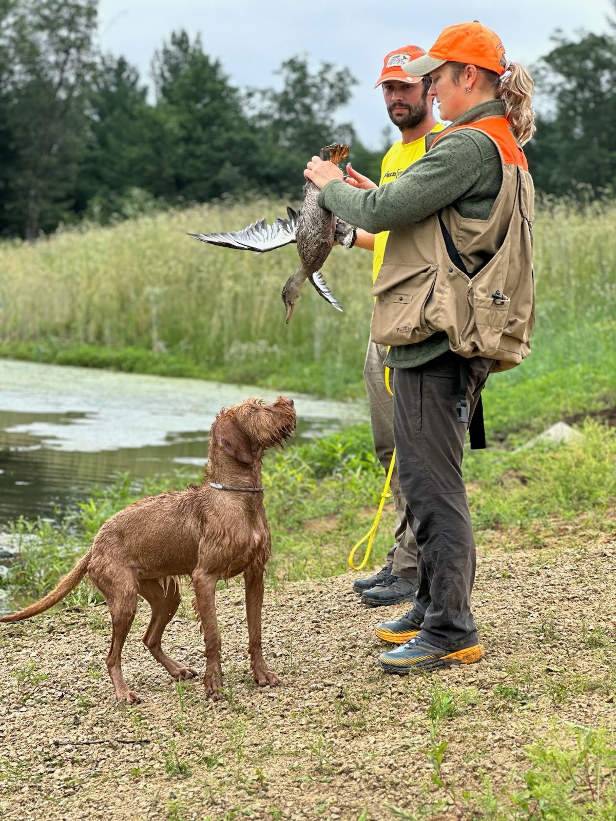 Pivot Kennels