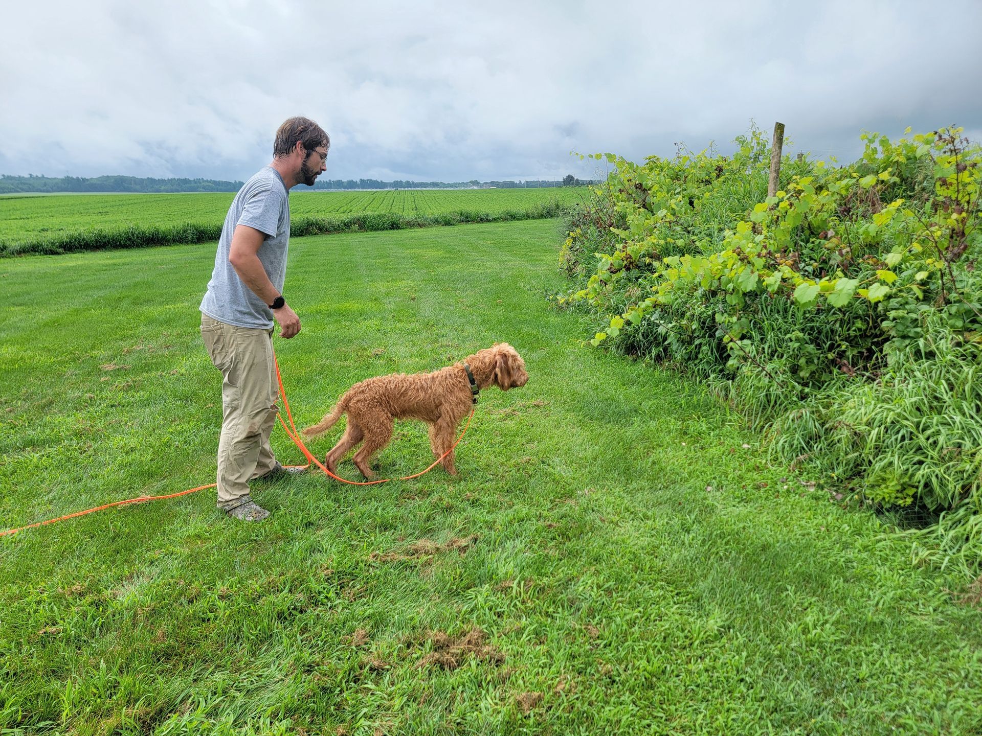 Pivot Kennels