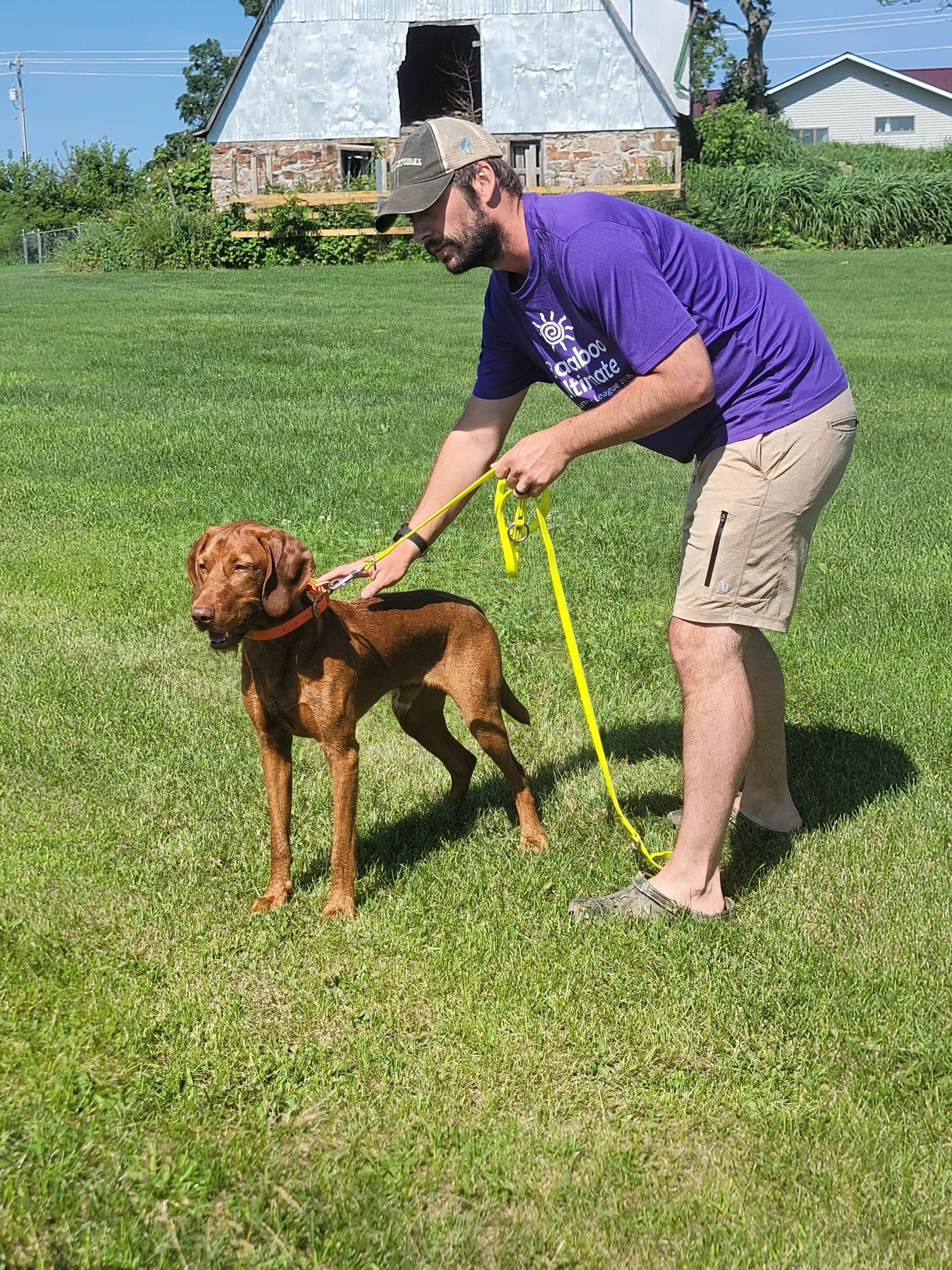Pivot Kennels