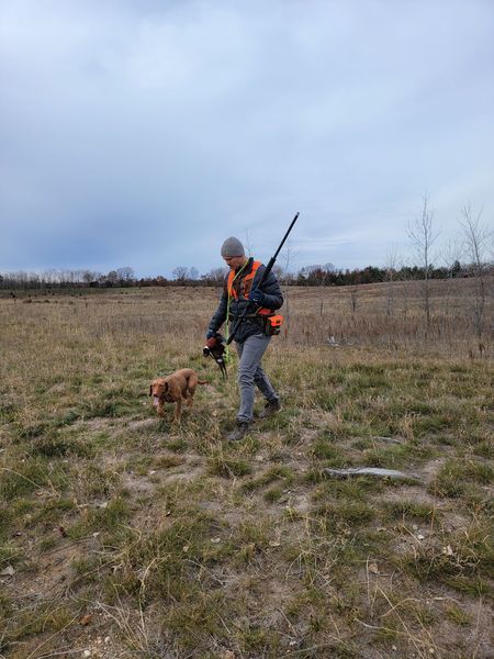 Pivot Kennels