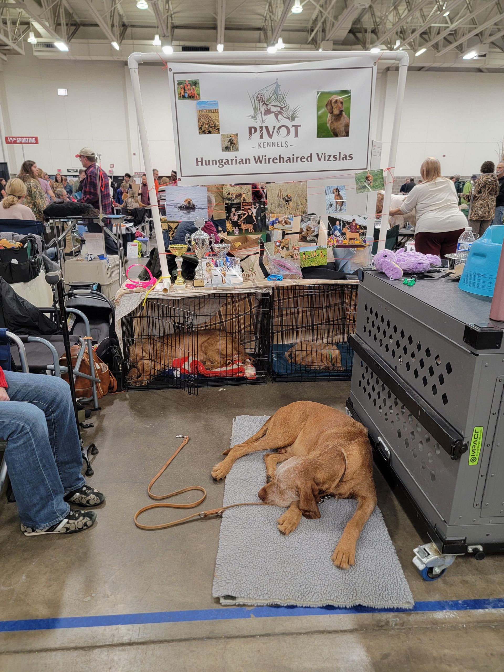 Pivot Kennels