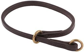 Pivot Kennels